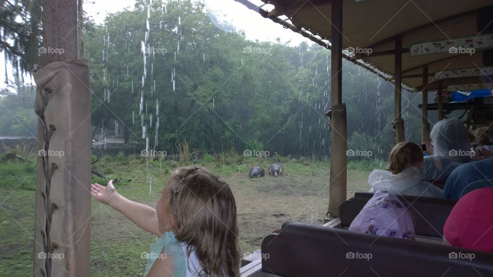 raining Safari