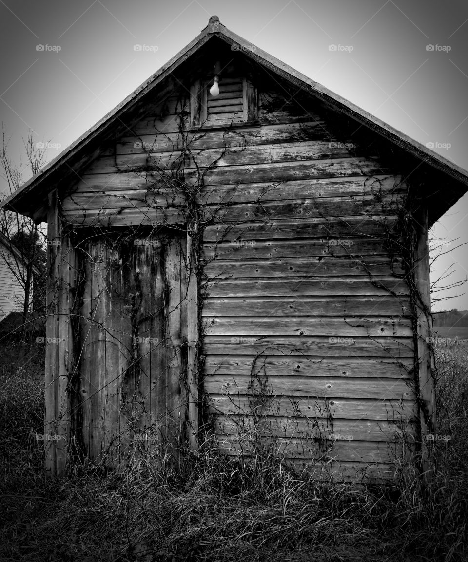 Barn, Abandoned, House, Wood, Shed