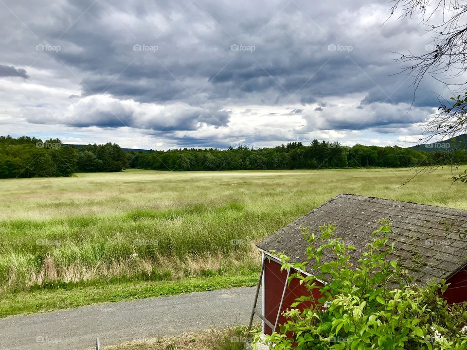 Landscape, Grass, Rural, Nature, Barn