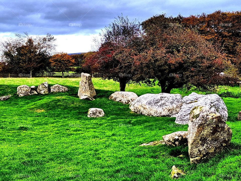 Stone Circle and Faerie Tree, Ireland
