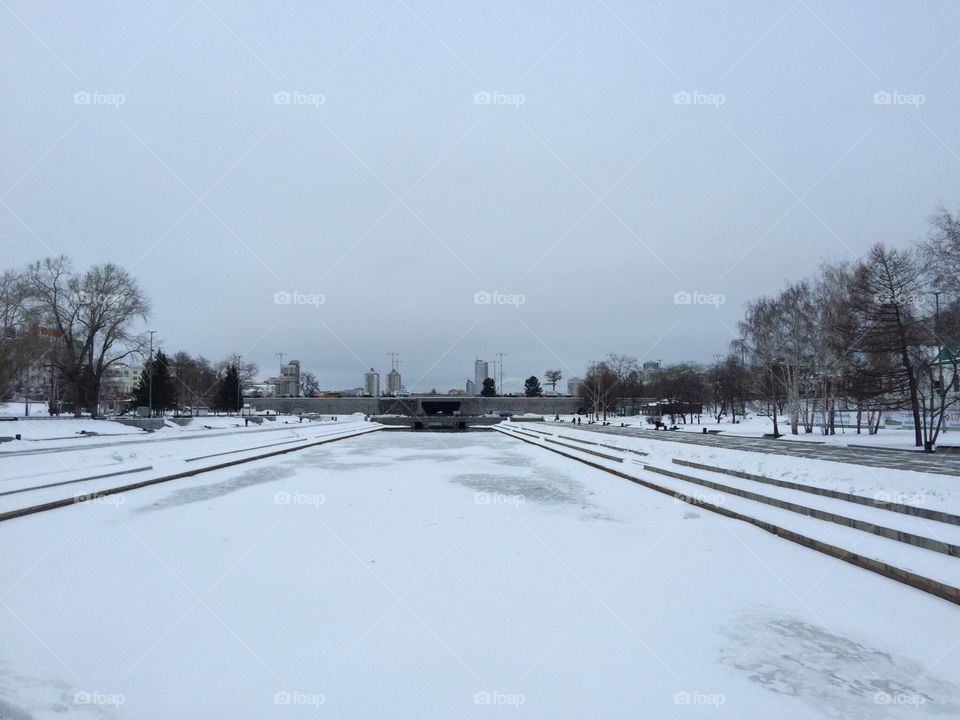 Winter landscape 