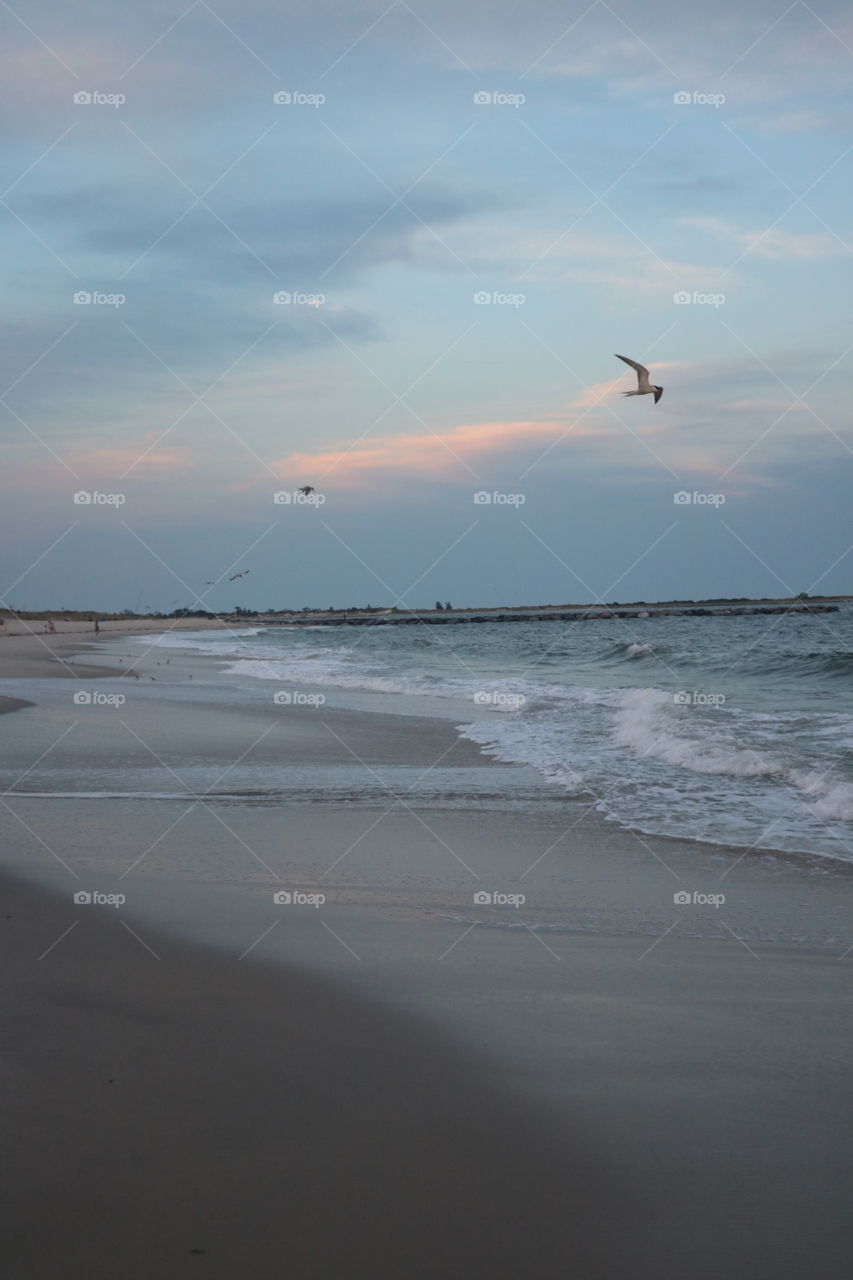 Evening at the beach
