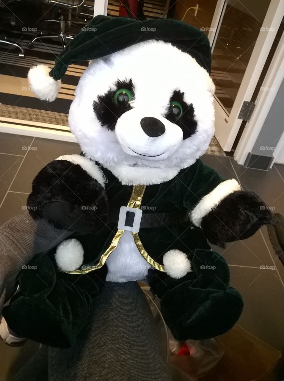 panda elf bear fluffy soft green buildabear