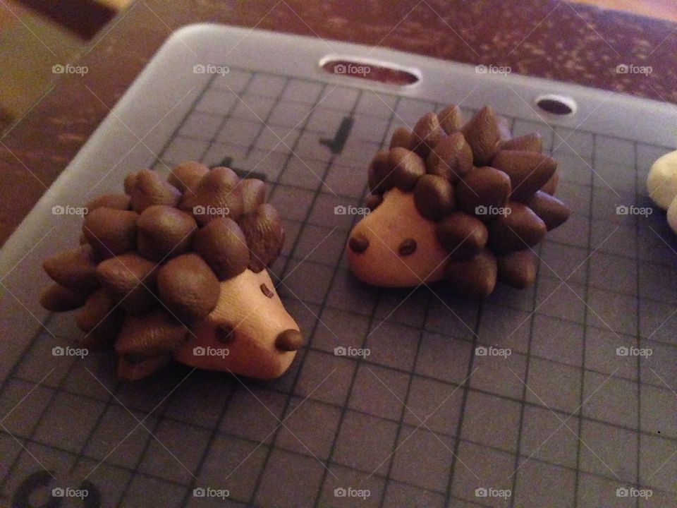 Miniature Hedgehogs 