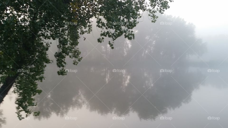Foggy Morning Tefkection