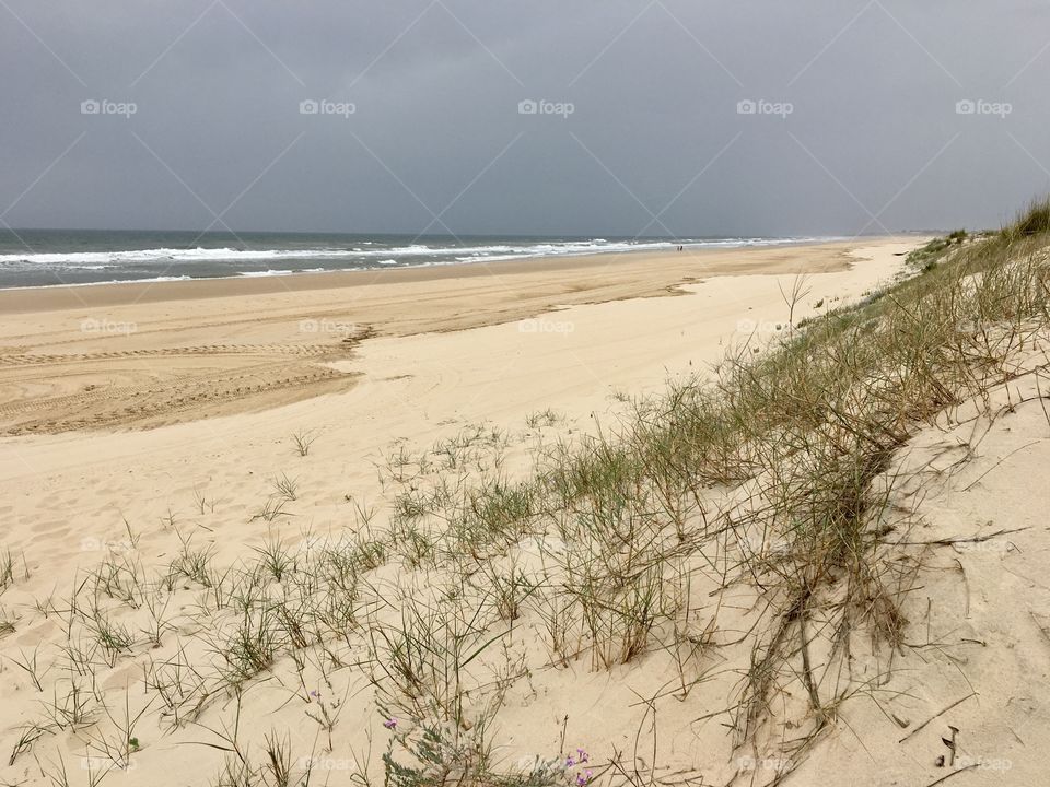 A walk in dunes along beach 