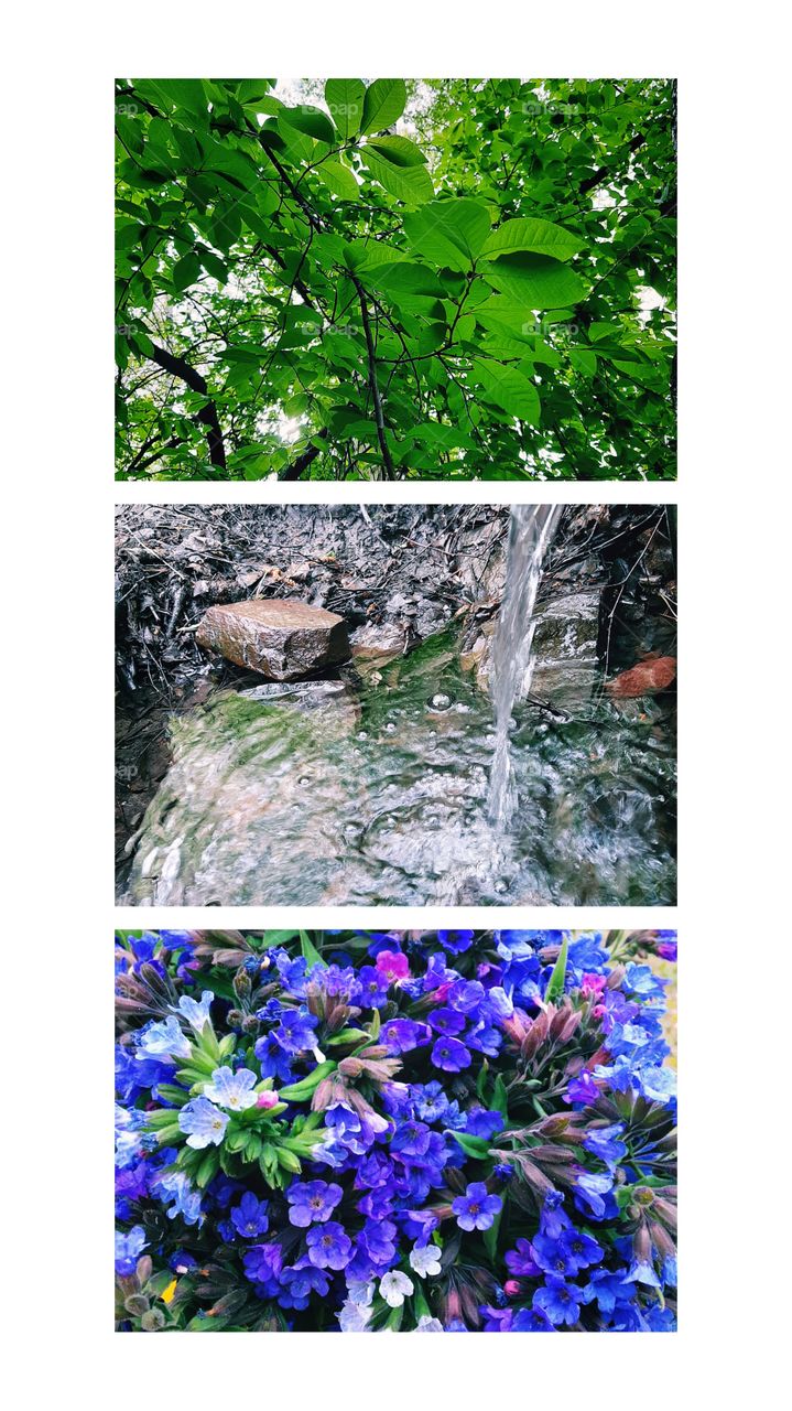 коллаж, зеленая листва, ручей, цветы