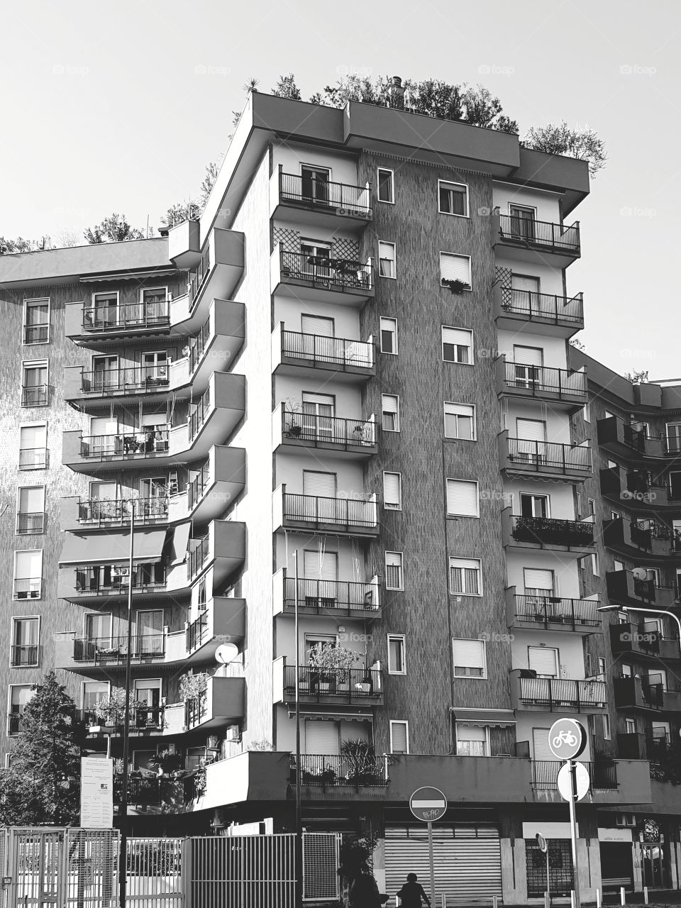 Architecture in black and white