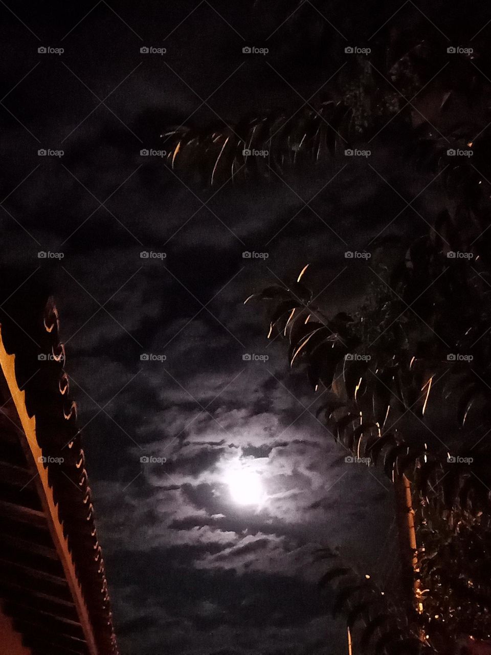 Full moon sky