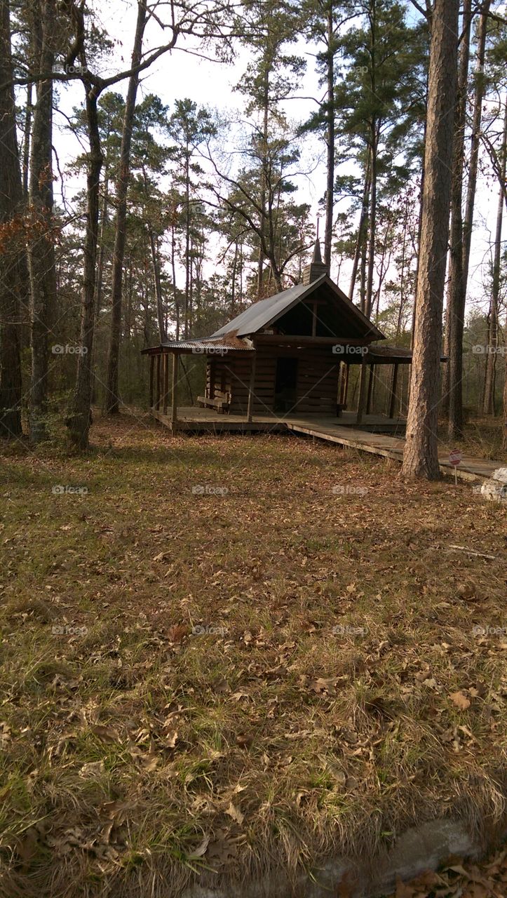 Wood, No Person, Tree, Landscape, Outdoors