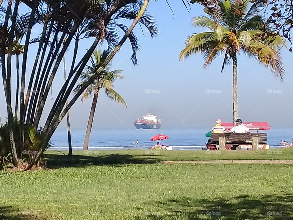 Chip Msc on the ocean. Santos Brasil