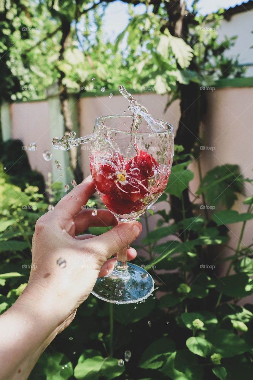 water glass strawberry summer