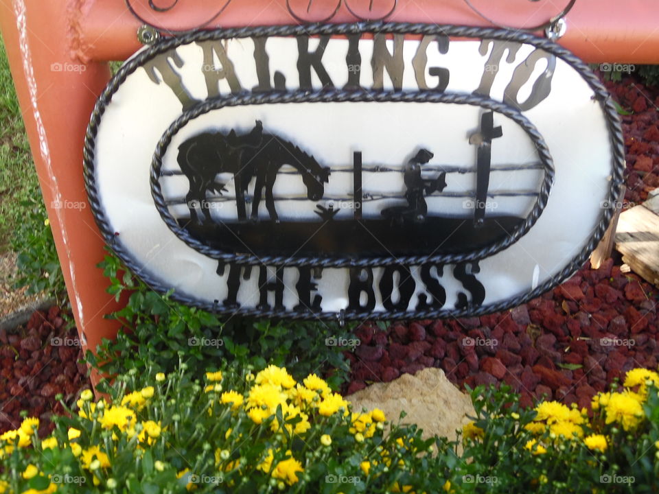who's the boss. This is a picture of a decorative sign in our front yard