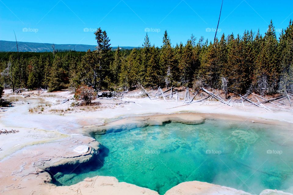 A hot volcanic pool sitting over the edge of a beautiful scenic view of mountains and pines. These teal pools sit quietly but are extremely hot!