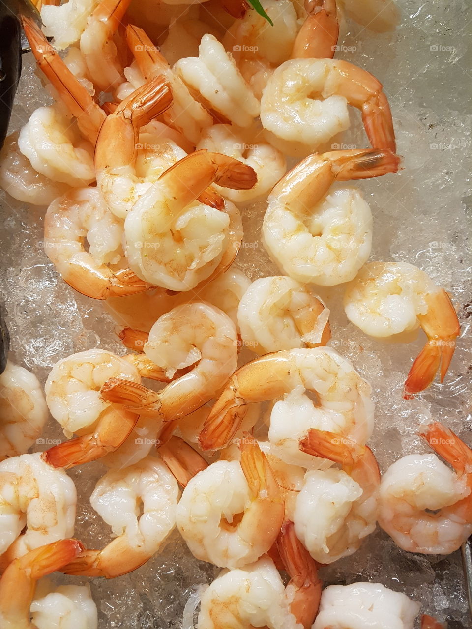 cooked prawns on ice