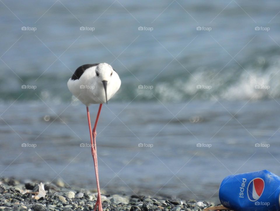 On the beach