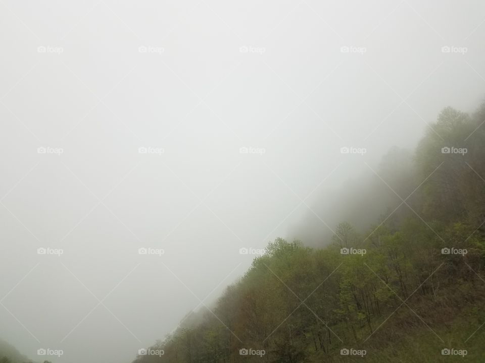 spring fog on the mountain