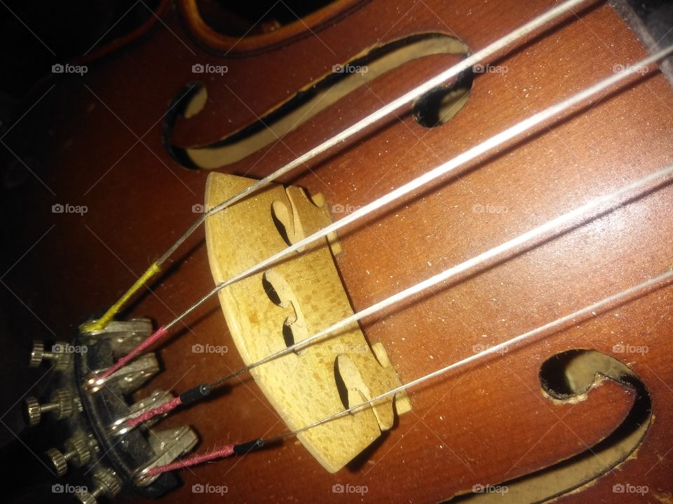 old wood violin
