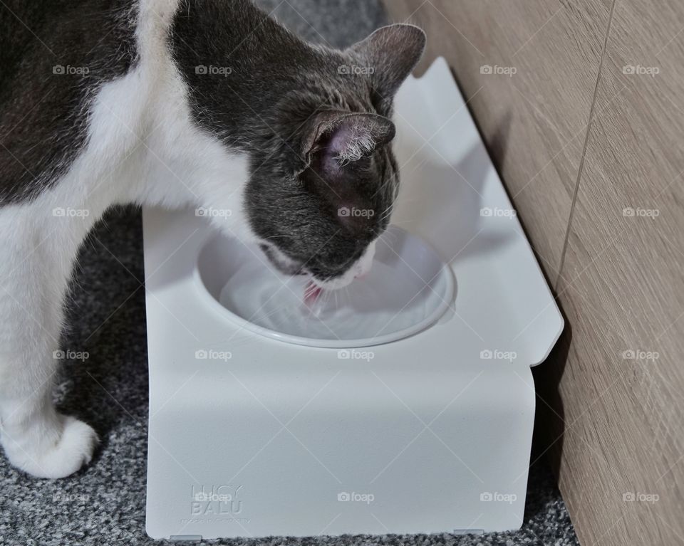 LucyBalu Duo Dining Station