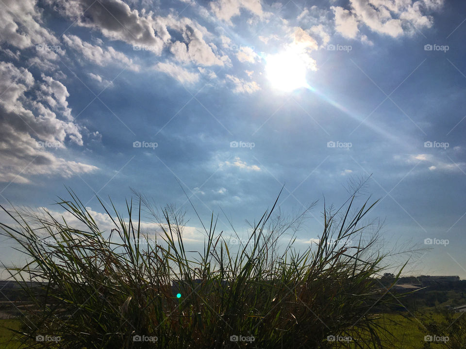 ☀️#Sol muito bonito de #natureza e #beleza indescritíveis.
Obrigado, #MãeTerra.
🌱
#inspiração #amanhecer #morning #fotografia #paisagem #sun #céu #landscapes 