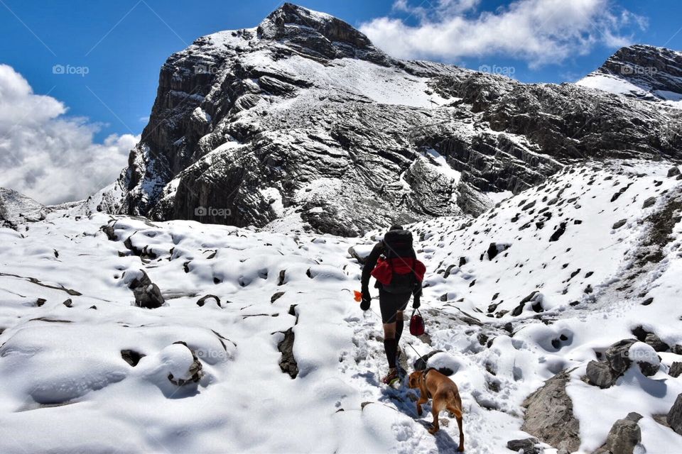 hiker with dog, swiss alps in summer.