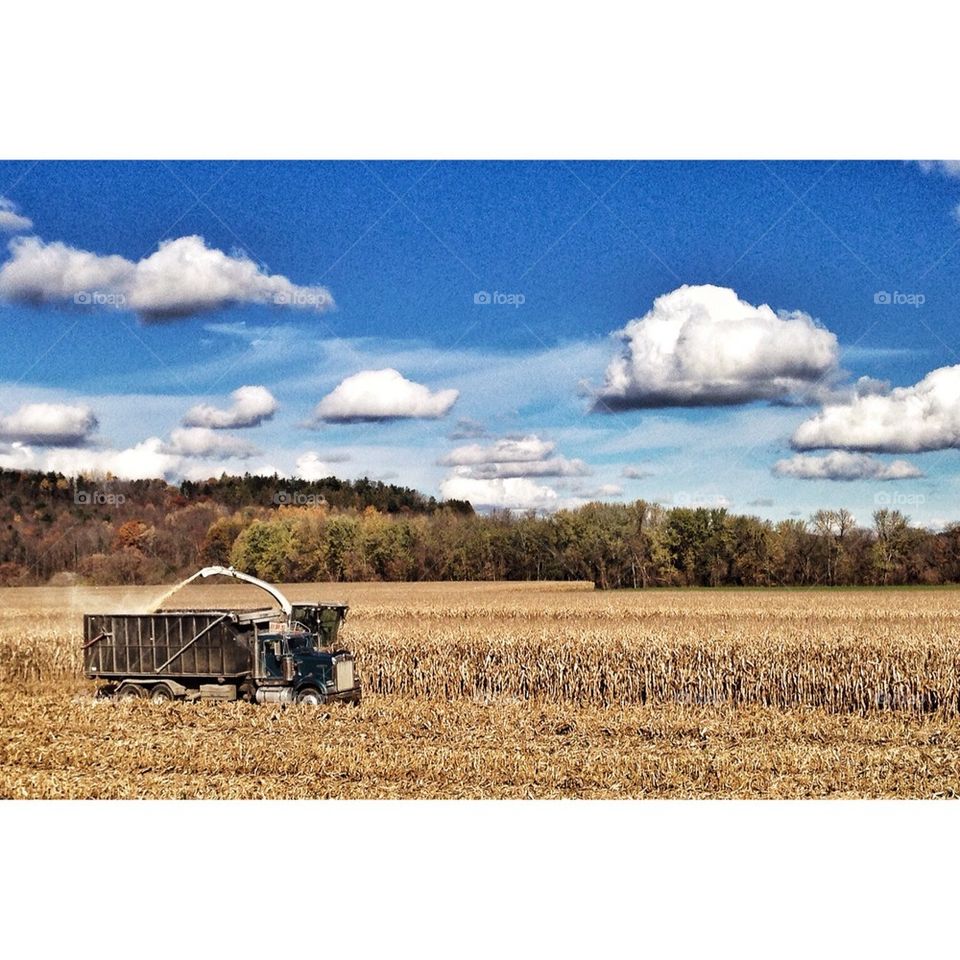 Harvest