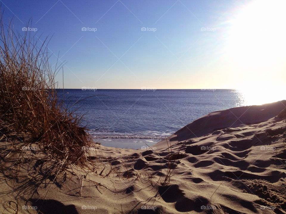 landscape beach ocean sweden by annajensen