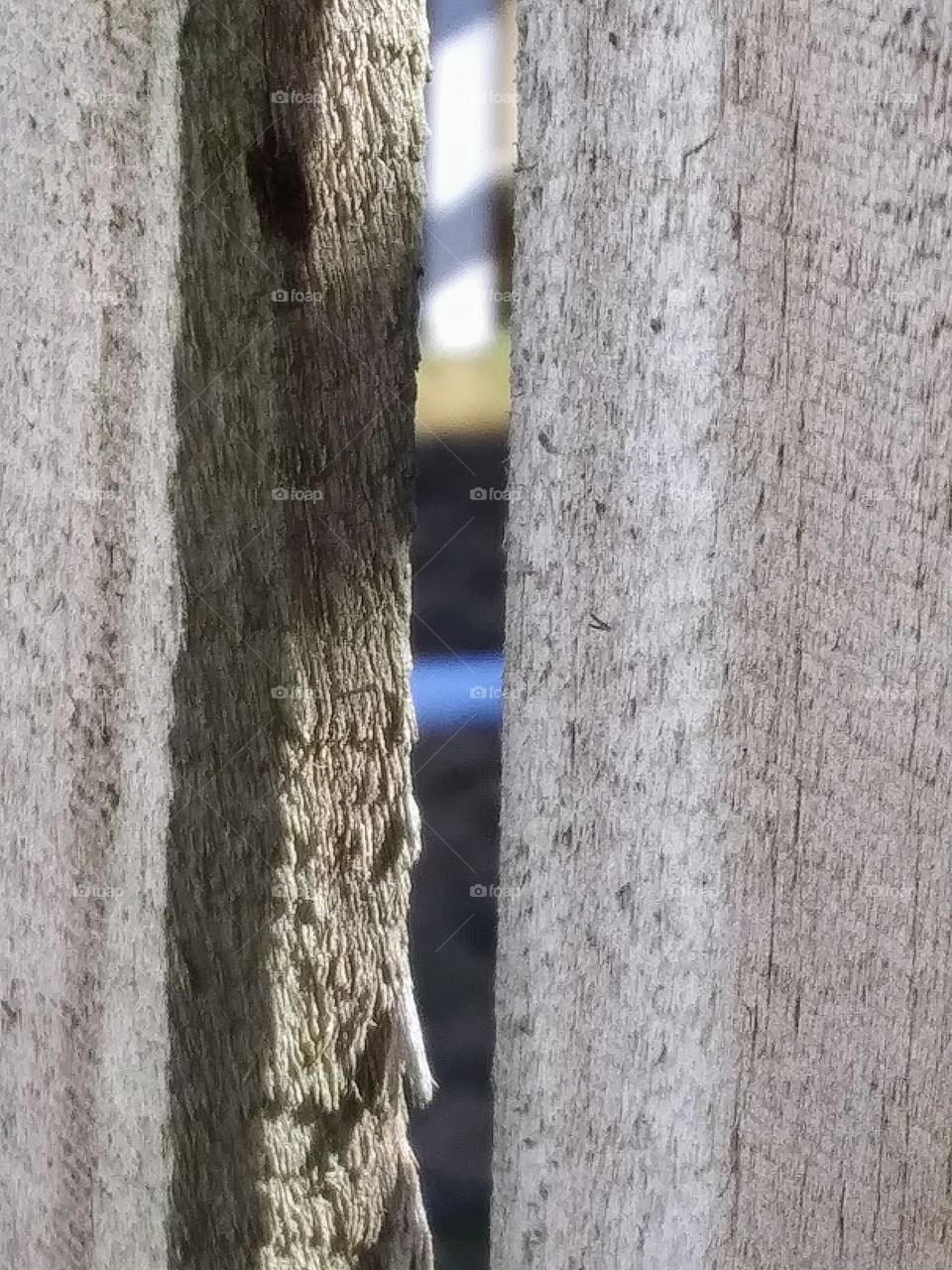 gap in a fence