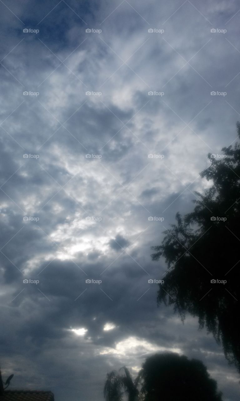 Storm Clouds Neat Clouds 
With trees to compliment 
This picture  is One Cool filament 
I see an image of a Moose 
Not a Goose A Moose !! 
How Cool to see Images 
In Clouds , Especially ones
That have colors Blues , Grays 
Dark blues , with Whites 
That  Has me out snapping  
Away taking shots that I 
Might be able to post . that 
Are worth posting on 
My Foab page. To me that 
Is Worth A Lot  to post on 
In my albums and page. !