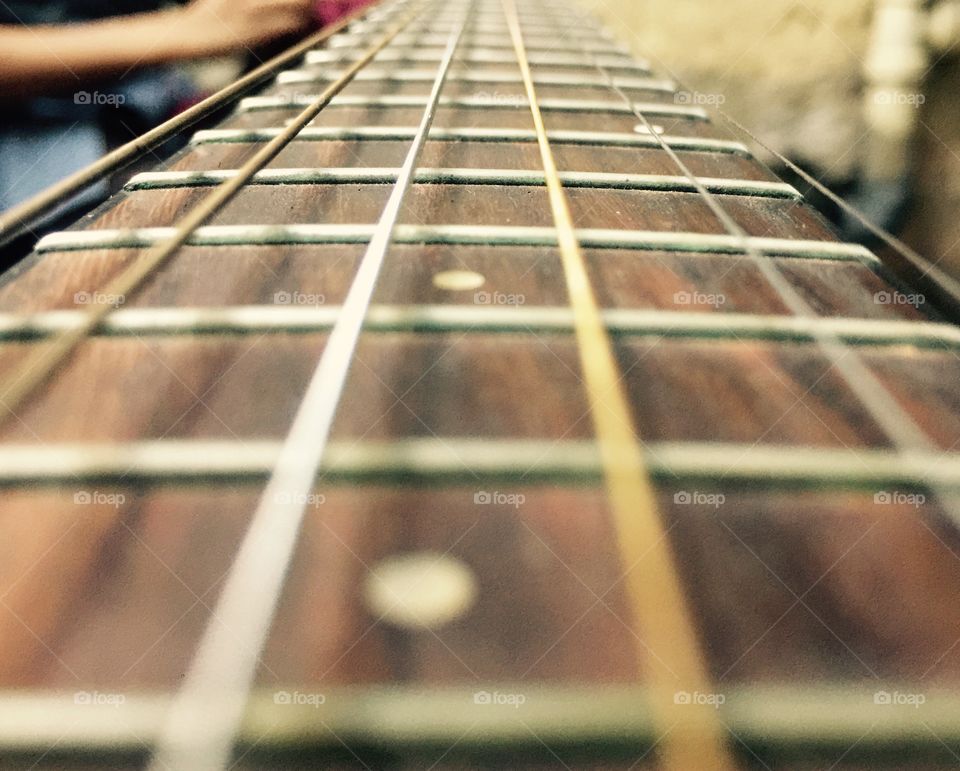 The fretboard and strings