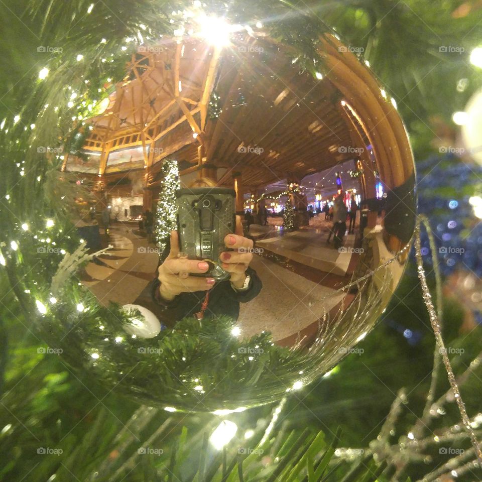 me in the ornament