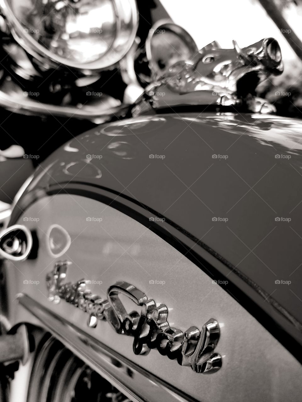 Harley Davidson Hog