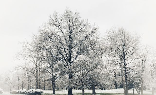 Winter Wonderland 