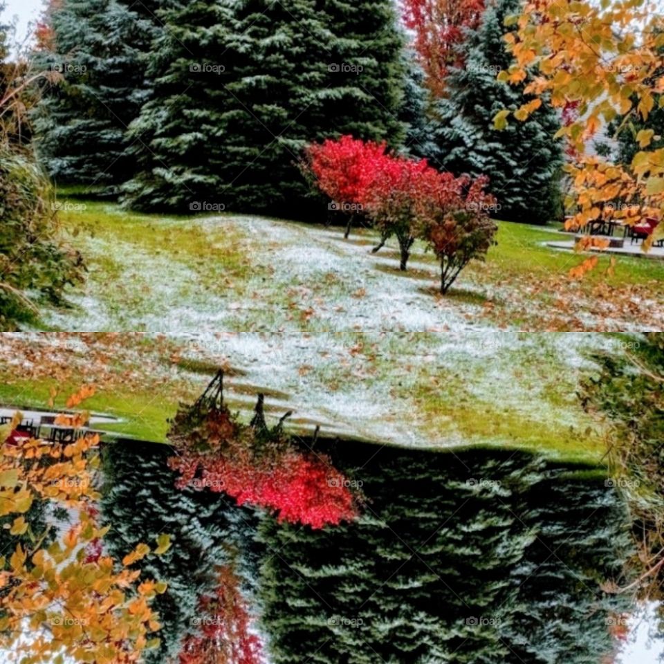 Nature ❤️ It is beautiful when we create it as the way God wish and it's more beautiful when it's covered with colours ❤️