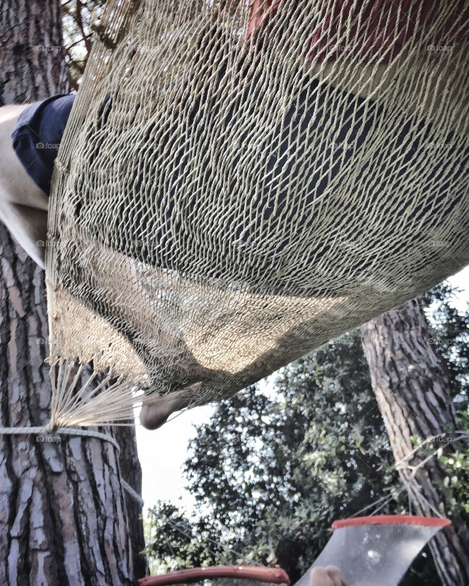 Under the hammock 