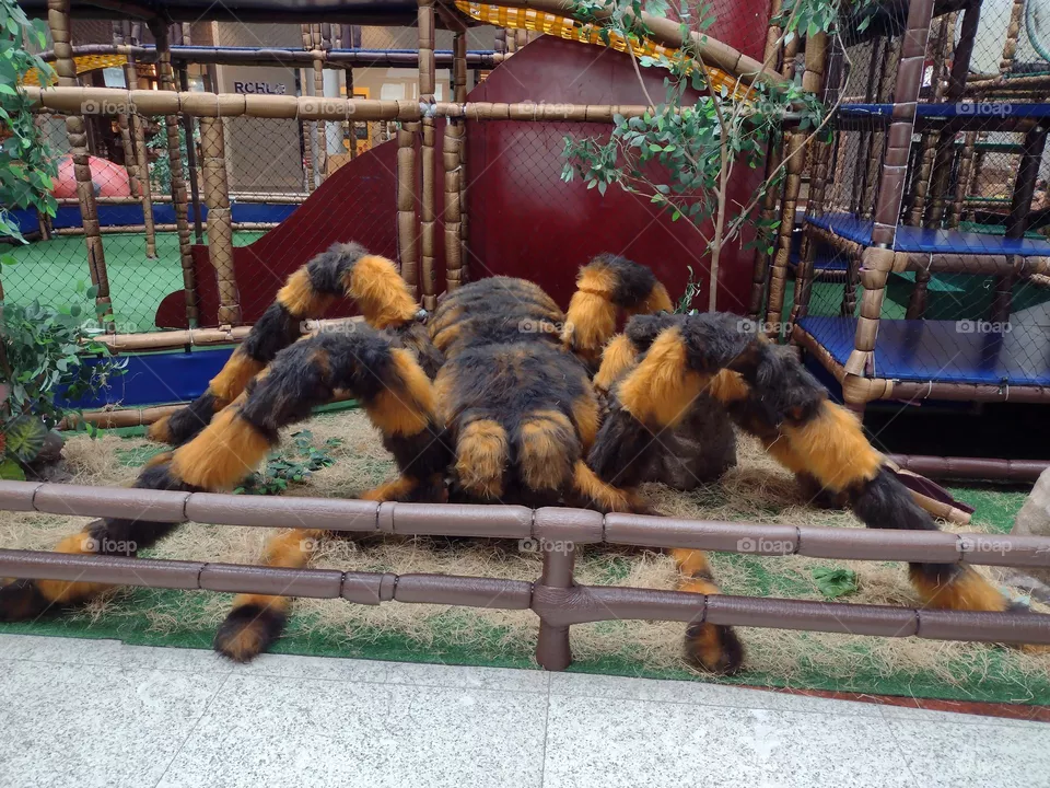 Aranha