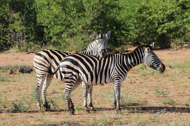 Let's talk about moving stripes