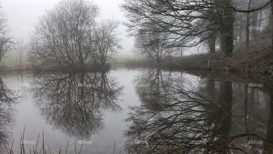 Misty walk