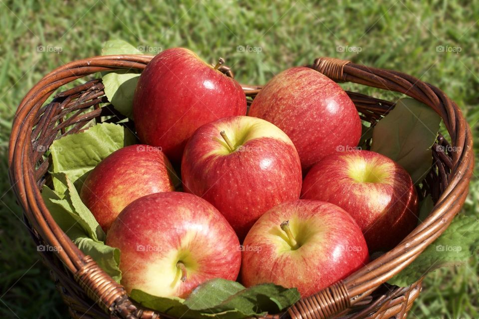 A basket of apples
