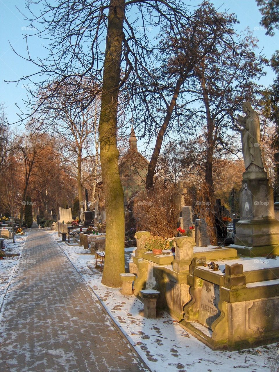 Winter Walk in Polans