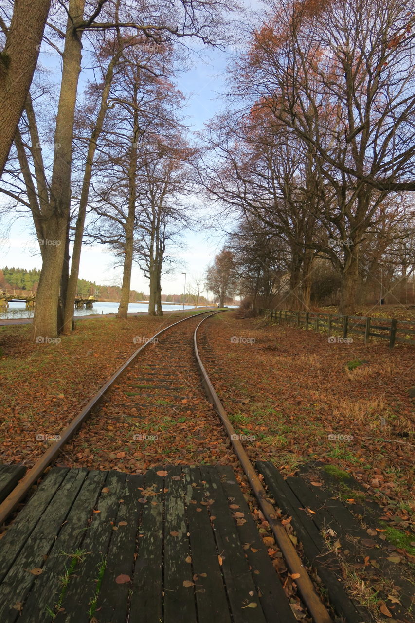 Old railway 