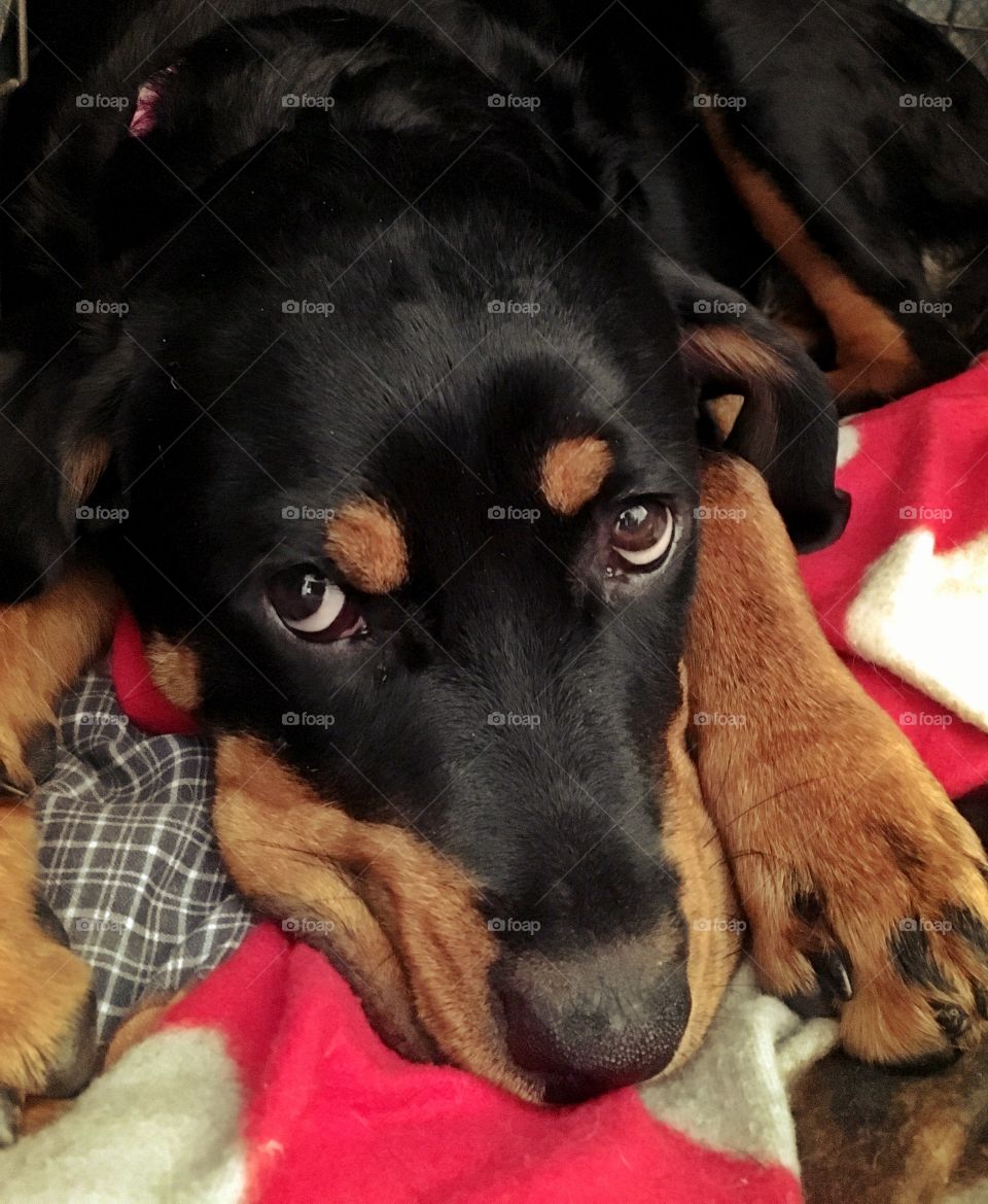 Please, just 5 minutes longer, pleeeease. 