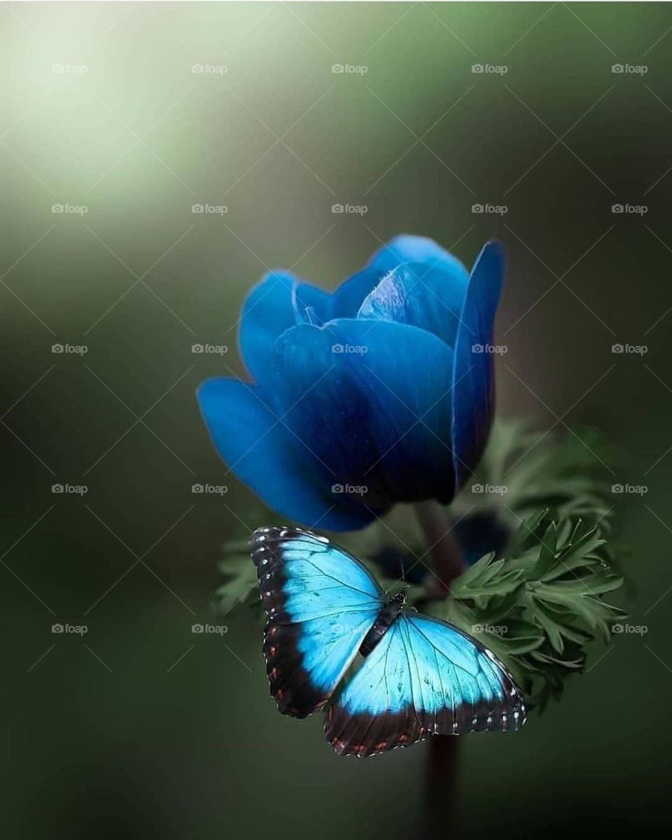 nature maintains its colour looking so amazing ever