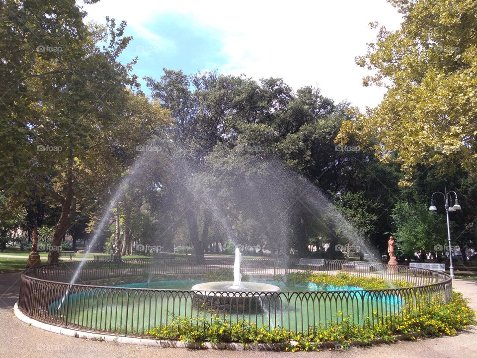 Editors' Choice - Photo of the Week