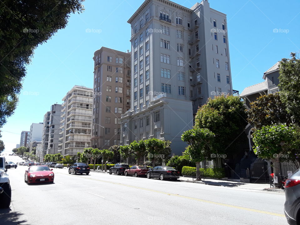Luxury Pacific Heights mansions in San Francisco California