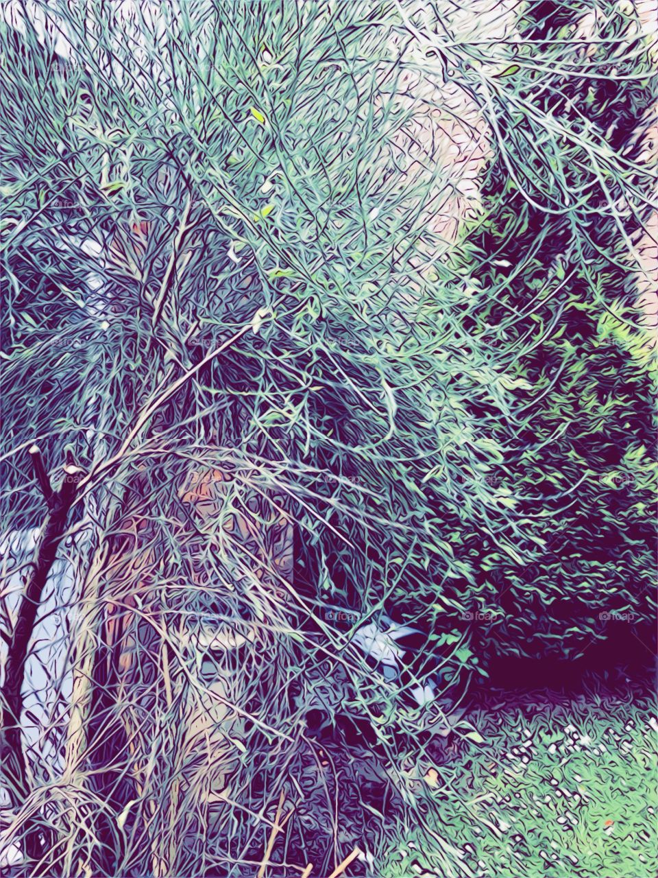 Nature is a wonderful thing 💕