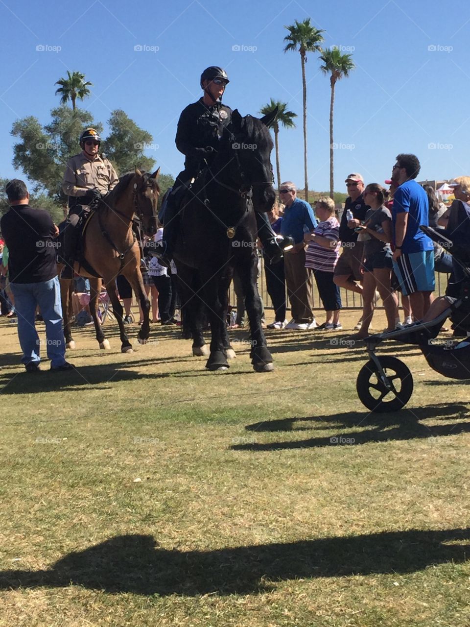 police on horseback 