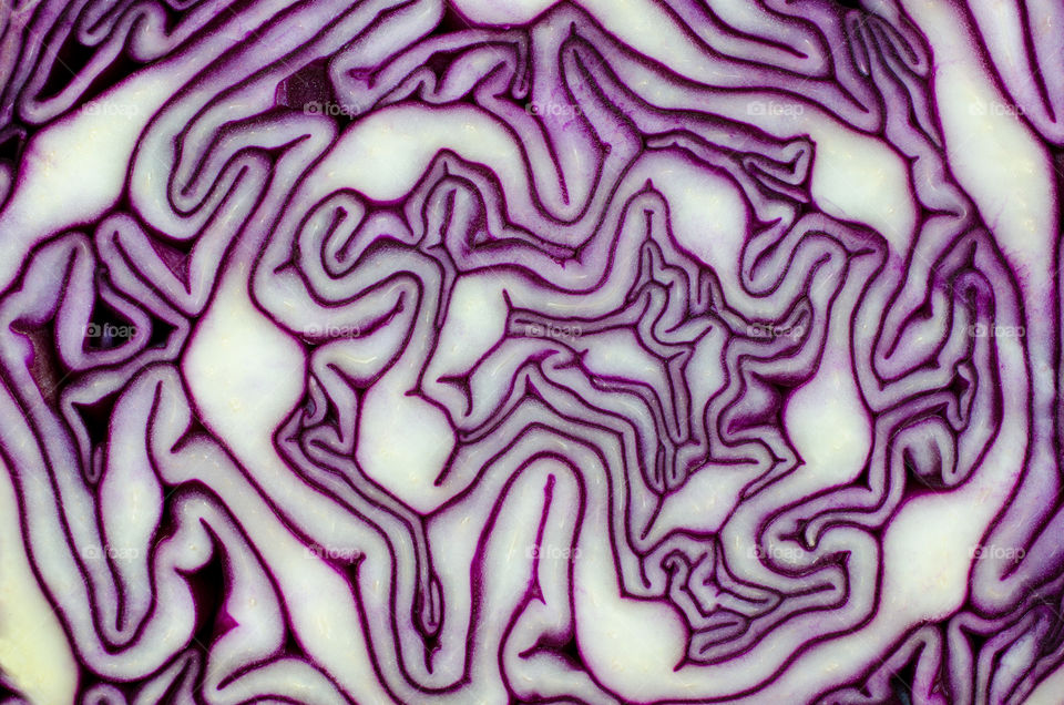 Detail of a cut red cabbage