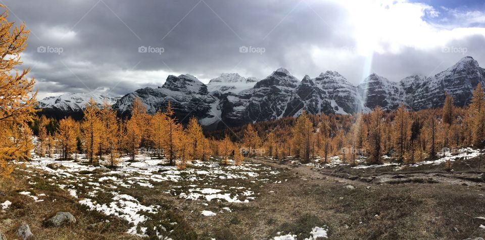 Larch Valley Banff National Park