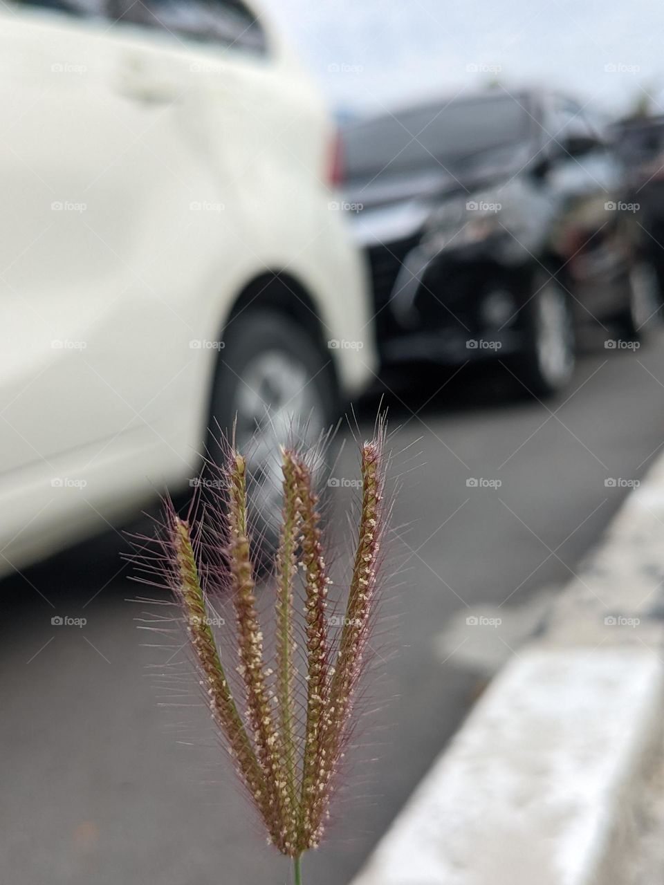 queue of vehicles at port